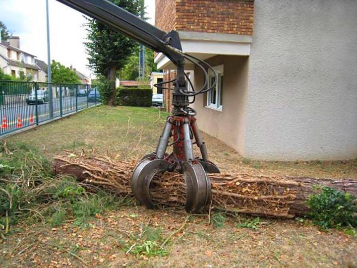 Élagage et abattage d’arbres Eure-et-Loir