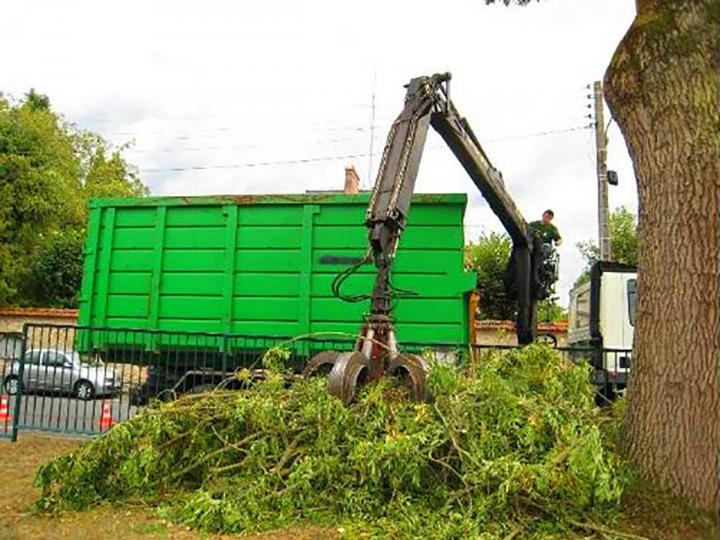 Élagage et abattage d’arbres Eure-et-Loir