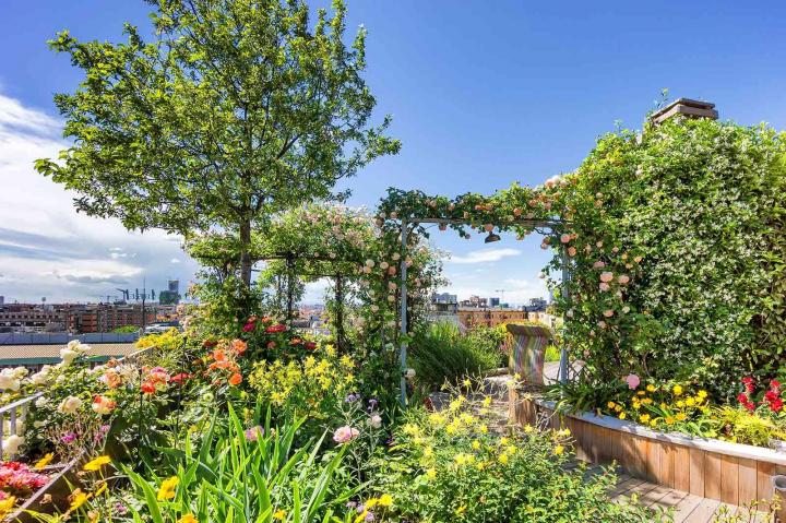 Aménagement de jardin Eure-et-Loir