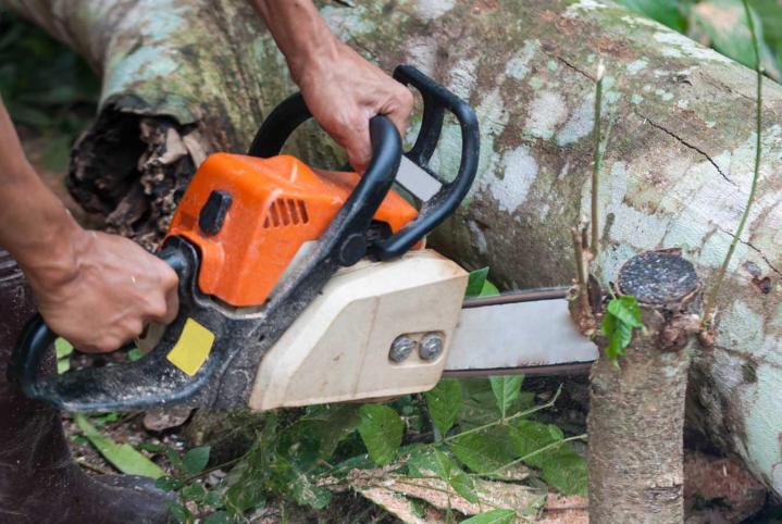 Des paysagistes professionnels pour effectuer l’élagage et l’abattage d’arbres en Eure-et-Loir